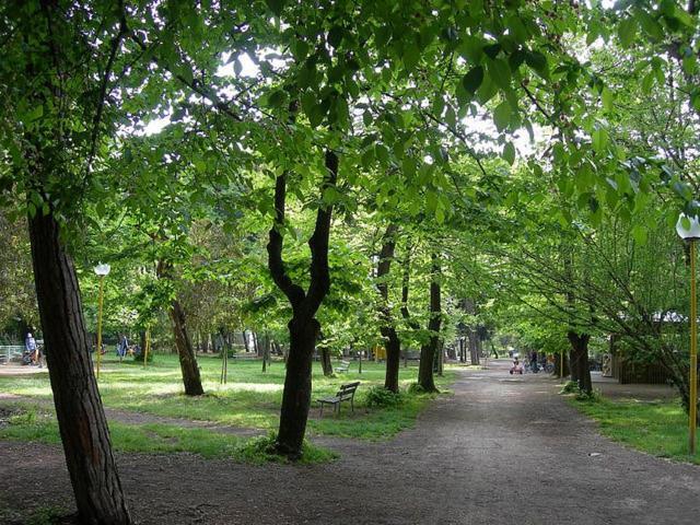 Villa Grazia Viareggio Kültér fotó